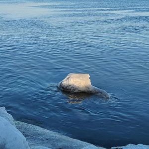 景翠路28freestyle