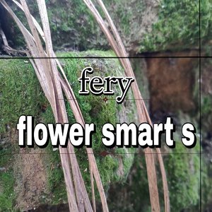 car flower smart spek