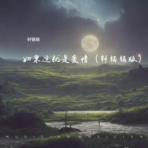 如果这就是爱情(轩锅锅版)