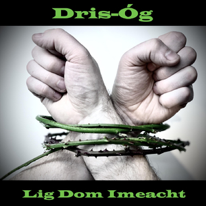 Lig Dom Imeacht