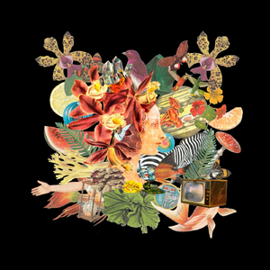 Tarkeada (Inspirada en La Partida)