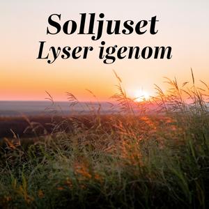 Solljuset Lyser Igenom