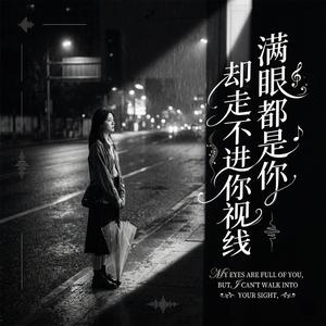 满眼都是你却走不进你视线