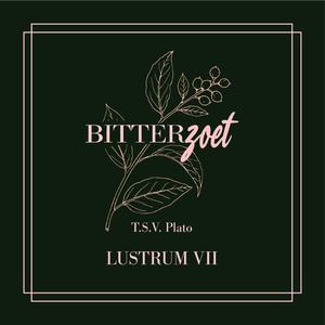 Biertje met de barman (feat. Jelmer van den Meerendonk & Noa Summers)