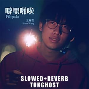 王瀚哲 (中国BOY) - 噼里啪啦 Slowed+Reverb