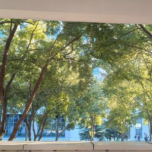 忆泳夏晒