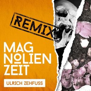 Magnolienzeit (Lenny B. Drumnbass Remix)