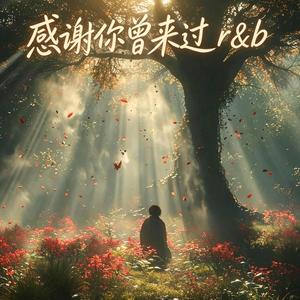 感谢你曾来过- r&b版