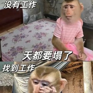 花落有情