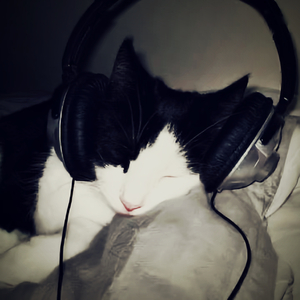 原来原来(prod.harui)