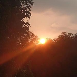 还要走多远可以到达