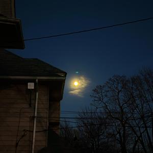 XXIII: longing for a positive sign