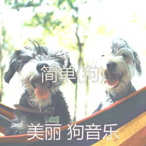 像梦一样-睡觉的小狗