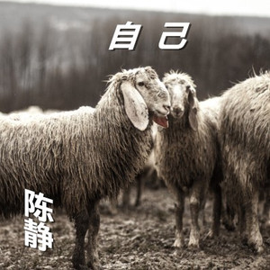 不再寻找