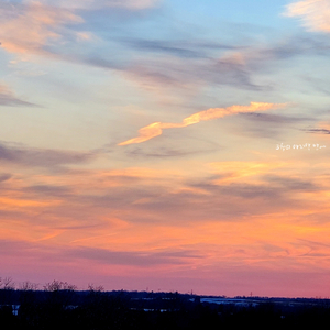 3월의 마지막 밤에