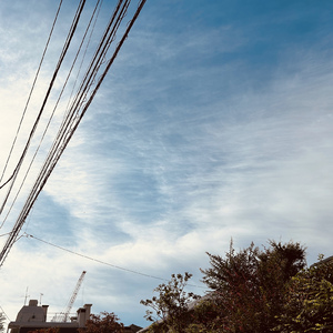 君なんかいらない