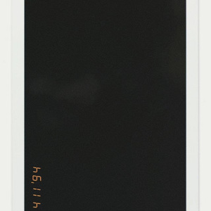 匿. 浪费翅膀的蝶