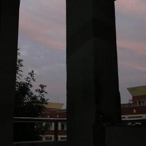 玫瑰往事
