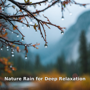 Nature Rain in Calm Forest, Pt.1