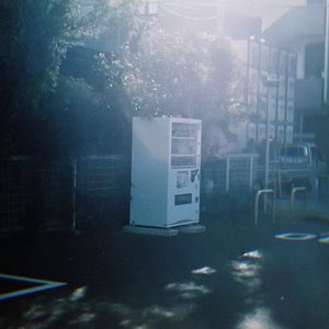 ひまわりの約束