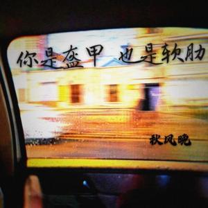 你是盔甲 也是软肋