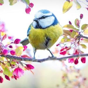 倾国倾城 (Cover 玖月奇迹)