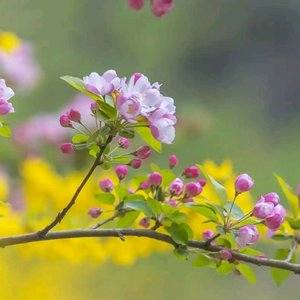 依然牵挂你（徐伟词、灵羽峰曲）许志刚唱.wav