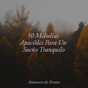 Promesa Silenciosa de las Luces del Norte