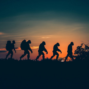 Эволюция (Diktofon Version)