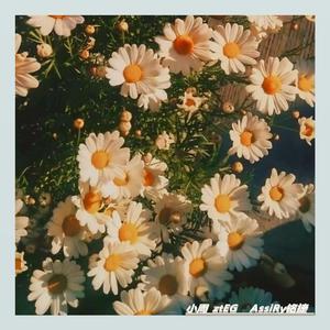 青春期(prod by thai beats)