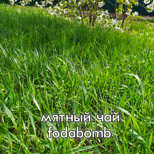 Мятный чай