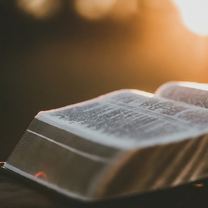 ላታደርግ ላትፈፅም ቃል አትገባም አንተ