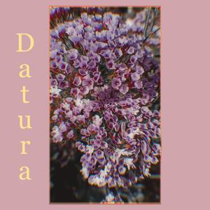 Datura