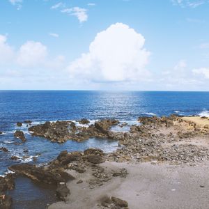 La Vida en Los Trópicos