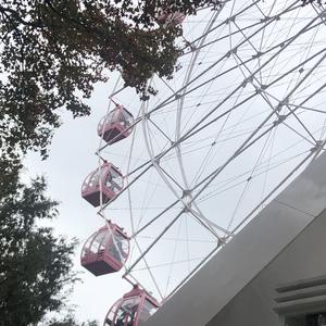 去垦丁淋场雨再走开