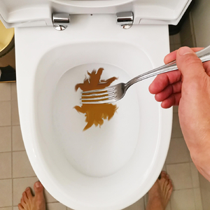 One Giant Turd Relief