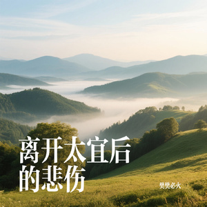 离开太宜后的悲伤