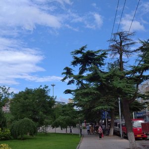 快点回到我怀里