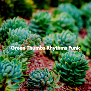 Quartet Jazz Soundtrack for Emotional Flow