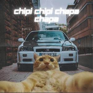 chipi chipi chapa chapa (PHONK HOUSE)