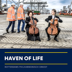 Haven of Life (Port Version)