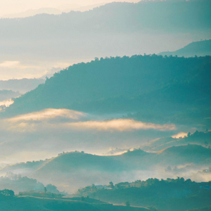 Shirohae (From "Naruto")