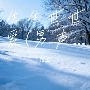 生生世世爱(男声版) (Remix)