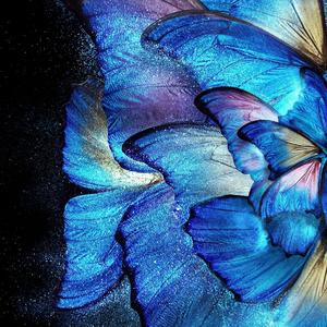 《归去来兮辞·并序》#朗诵#