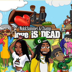 **** Love (Remix) (feat. NukkSummer)