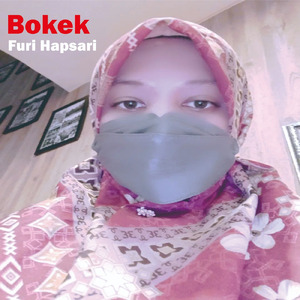 Bokek