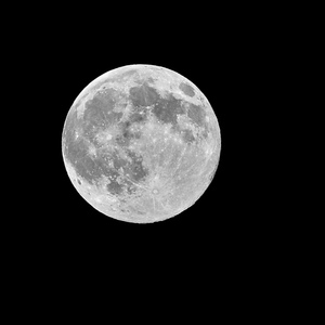 神经衰弱（Prod by.黄鸡鸡 ）