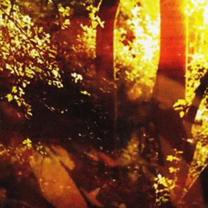 Plan (feat. buscopaz)