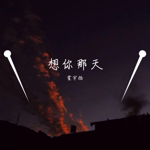 想你那天