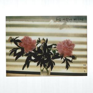 When I First Fall in Love (instrumental)